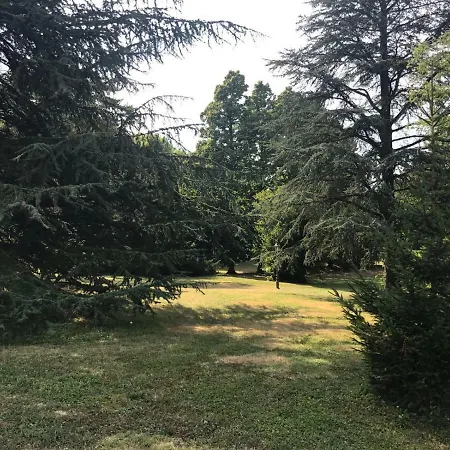 Villaschella